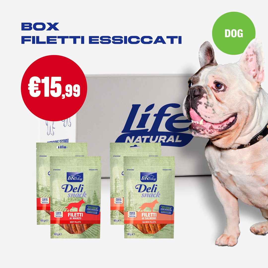BOX FILETTI ESSICCATI - 4 CONFEZIONI