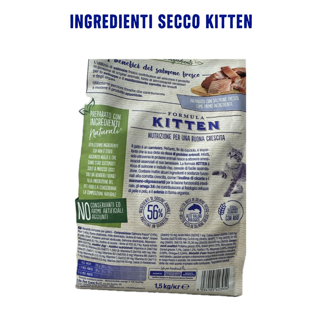 BOX MISTO UMIDO/SECCO KITTEN