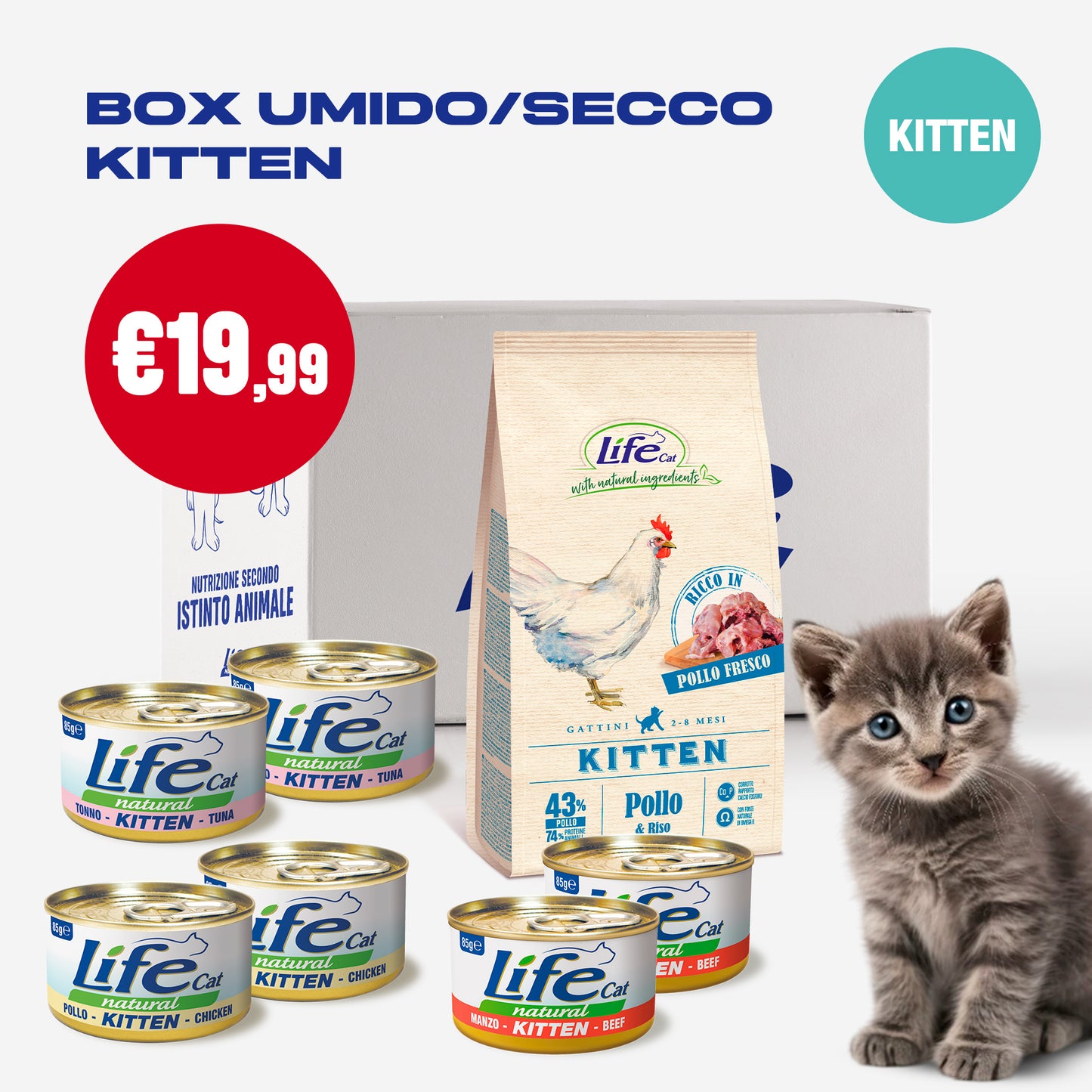 BOX MISTO UMIDO/SECCO KITTEN