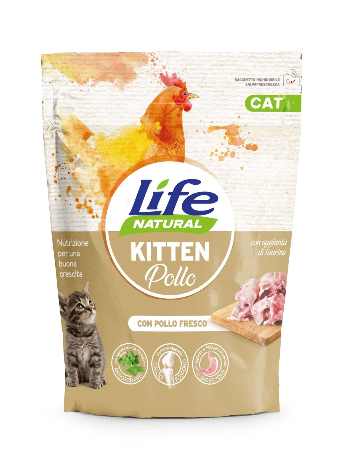 KITTEN POLLO