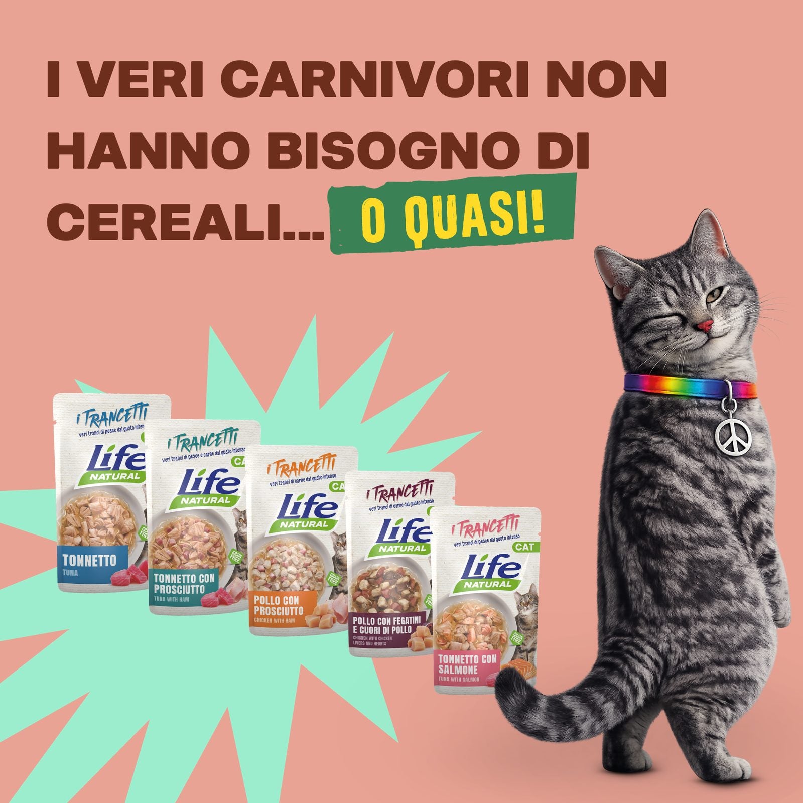 GRAIN FREE — UN GATTO È UN CARNIVORO STRETTO