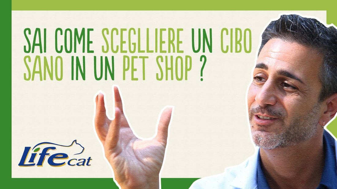 Scegliere l’alimento giusto per il tuo gatto in un pet shop