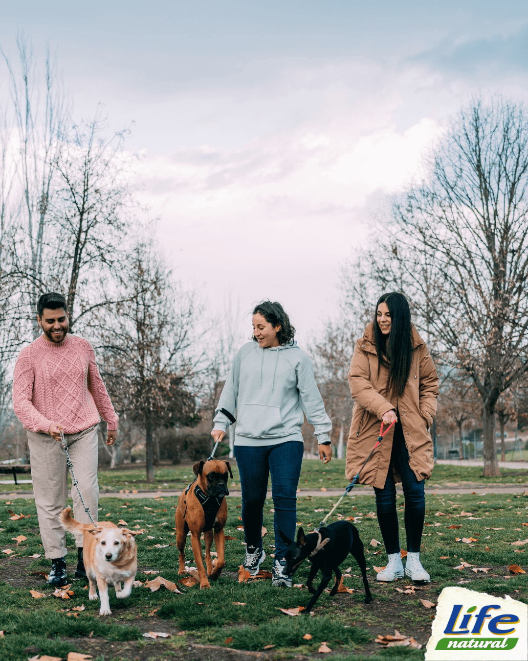 Il potere della socializzazione: perché far giocare il tuo cucciolo con altri cani