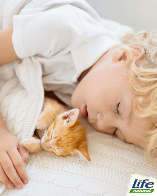 Gatti e bimbi: un’amicizia che nutre il cuore e la mente
