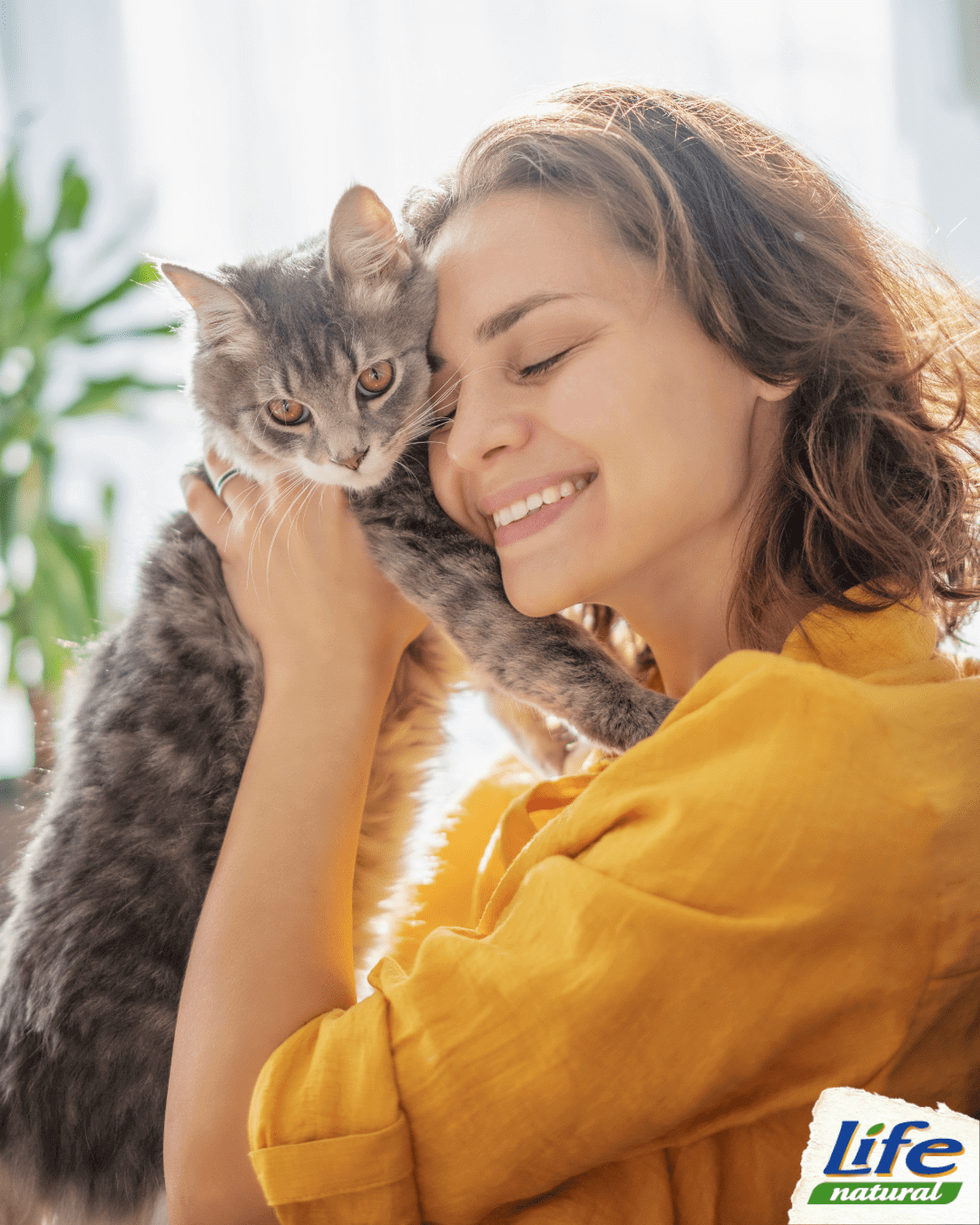 Gatti e primavera: alcuni consigli utili