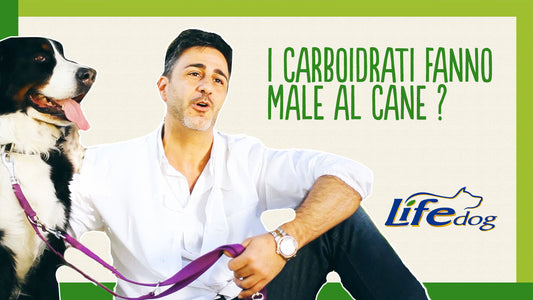 I carboidrati fanno male al cane?