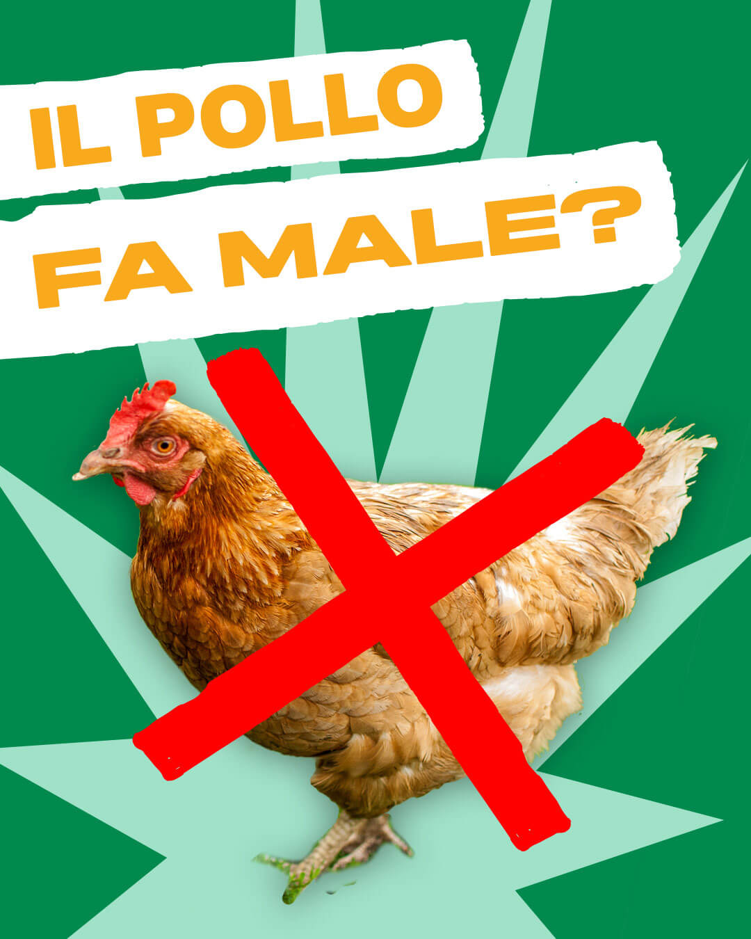 FAKE NEWS: la carne di pollo causa davvero allergie?