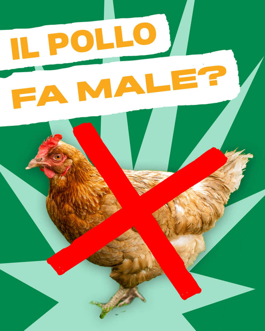 FAKE NEWS: la carne di pollo causa davvero allergie?