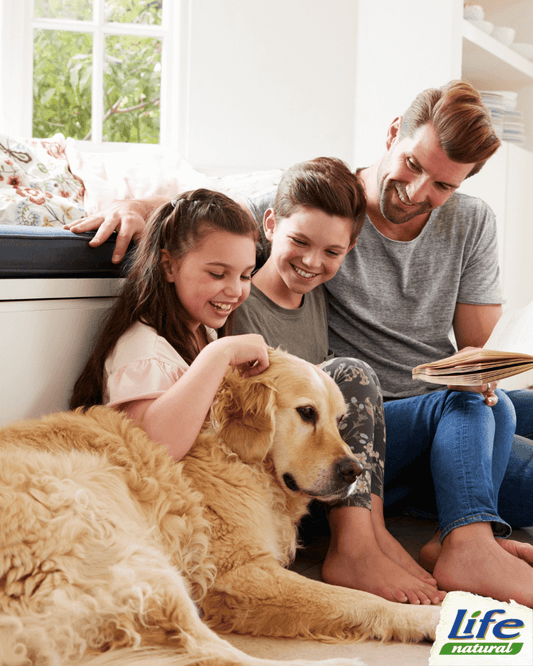 Scegli il cane giusto per te: 5 elementi da considerare