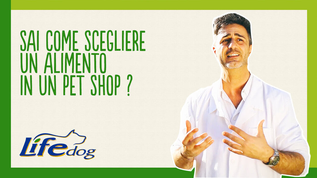 Scegliere l’alimento giusto per il tuo cane in un pet shop