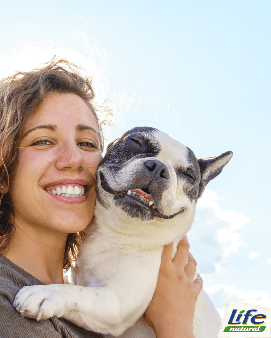 5 consigli per educare il cane