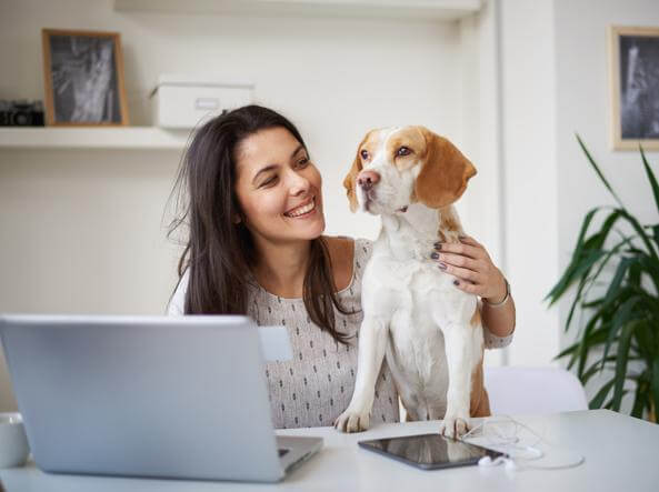 TUTTI I VANTAGGI DI PORTARE IL CANE IN UFFICIO