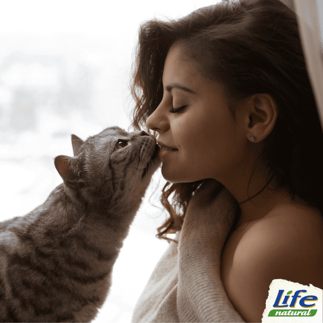 Come creare un legame con il gatto