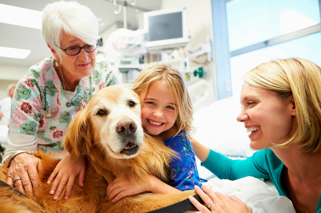 PET THERAPY: COS’È E PERCHÉ È COSÌ EFFICACE
