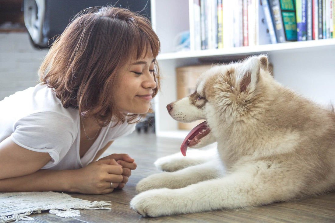 I grandi Benefici di vivere con un Cane