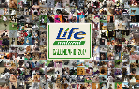 Grande successo per il Calendario 2017!