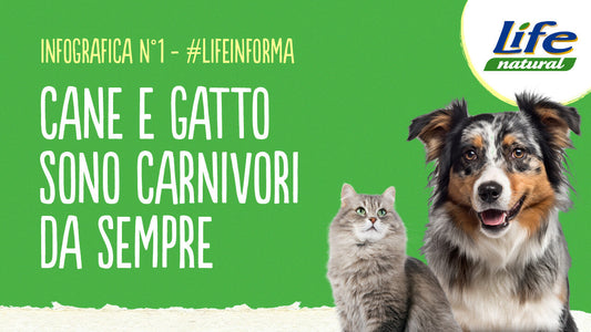 #1 – CANE E GATTO SONO CARNIVORI, DA SEMPRE!