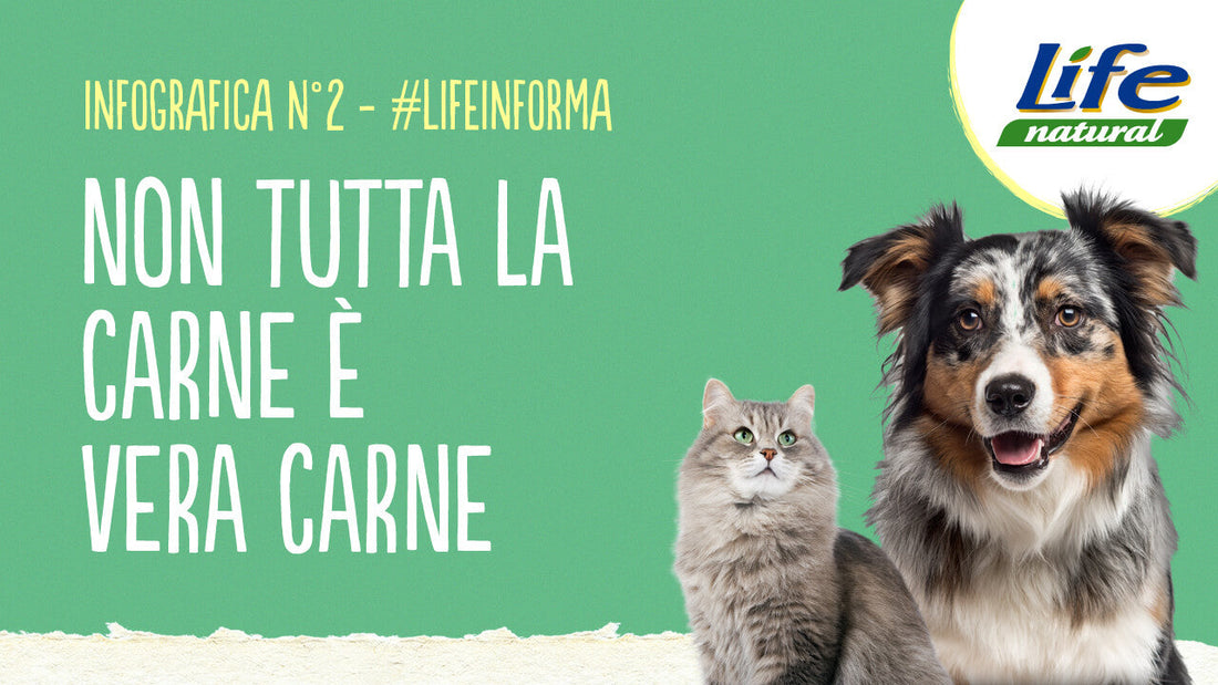 #2 – NON TUTTA LA CARNE È VERA CARNE
