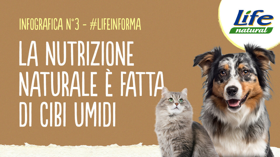 #3 – LA NUTRIZIONE NATURALE PER CANI E GATTI, È FATTA DI CIBI UMIDI