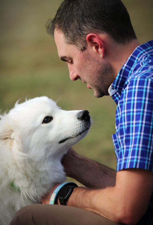Cosa ci comunica il nostro cane? Osserviamolo per capire.