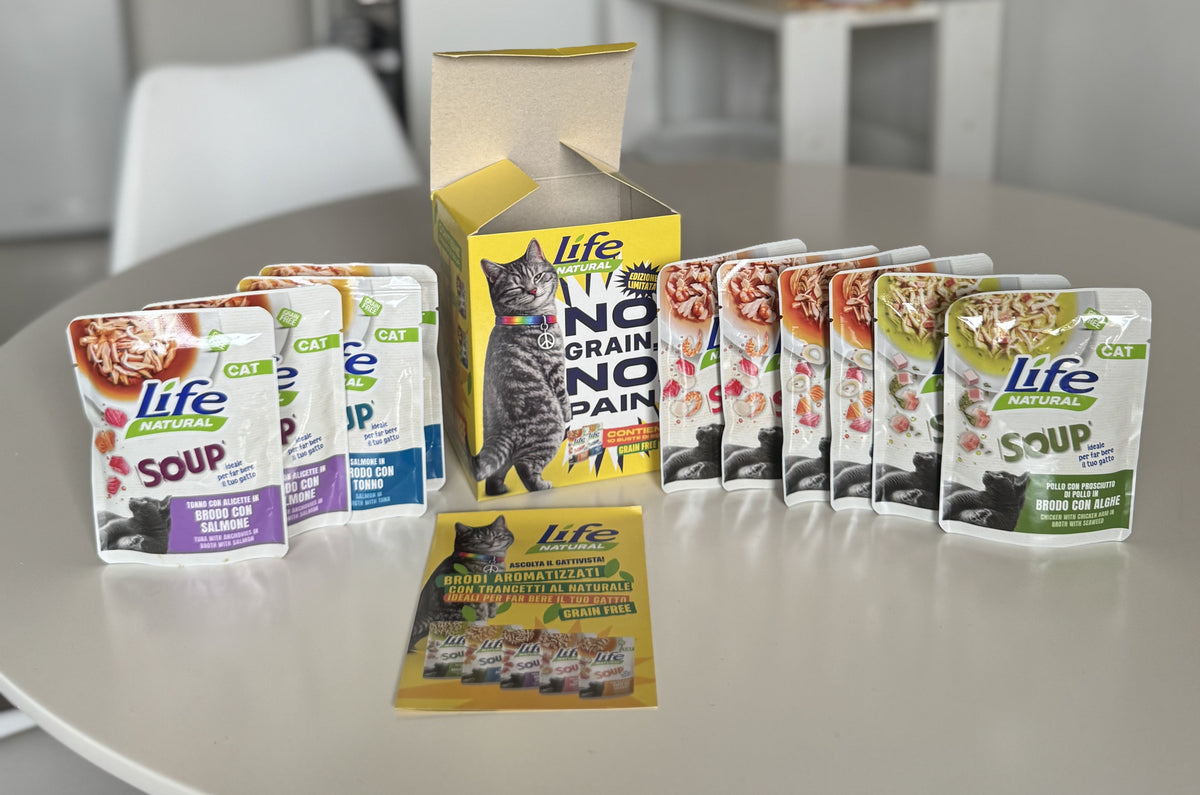 BOX SOUP GRAIN FREE - 10 BUSTE DA 60 GRAMMI - SCONTATO DEL 20%