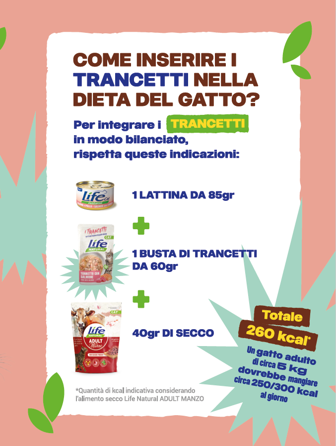 BOX TRANCETTI GRAIN FREE - 10 BUSTE DA 55 GRAMMI - SCONTATO DEL 20%