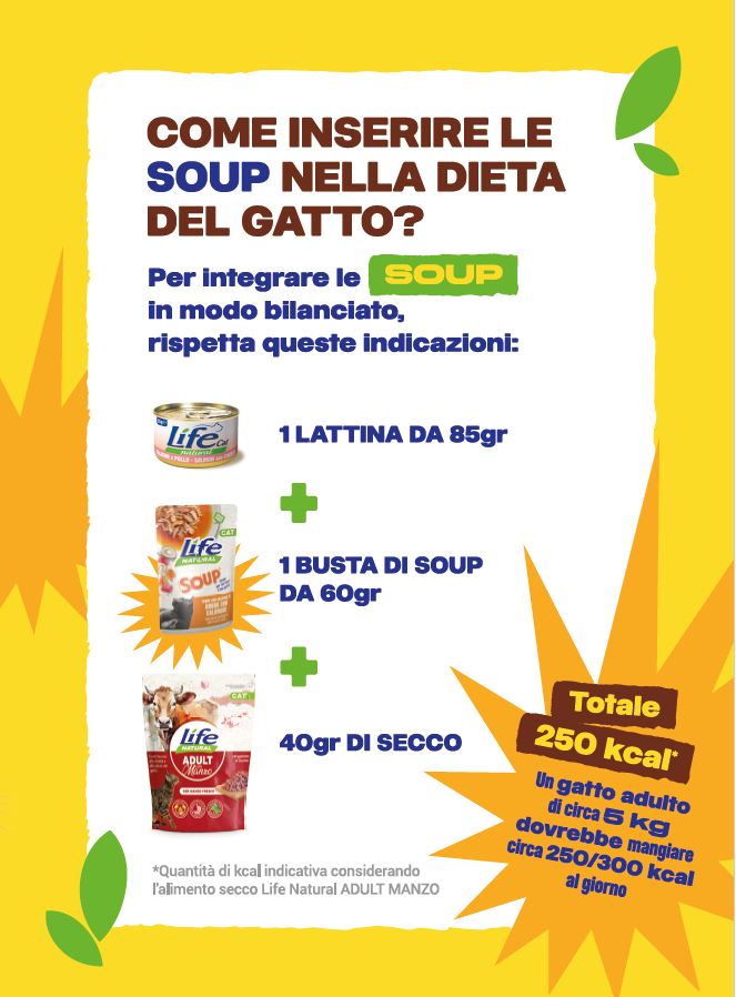 BOX SOUP GRAIN FREE - 10 BUSTE DA 60 GRAMMI - SCONTATO DEL 20%