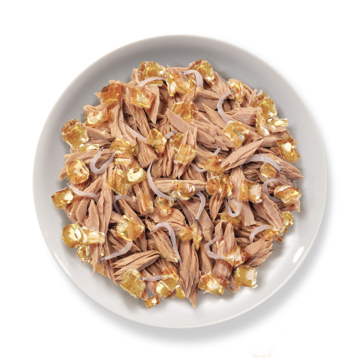 Jelly 70 gr - Tonnetto con Alicette – piatto
