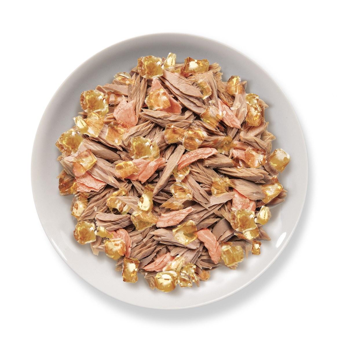 Jelly 70 gr - Tonnetto con Salmone – piatto