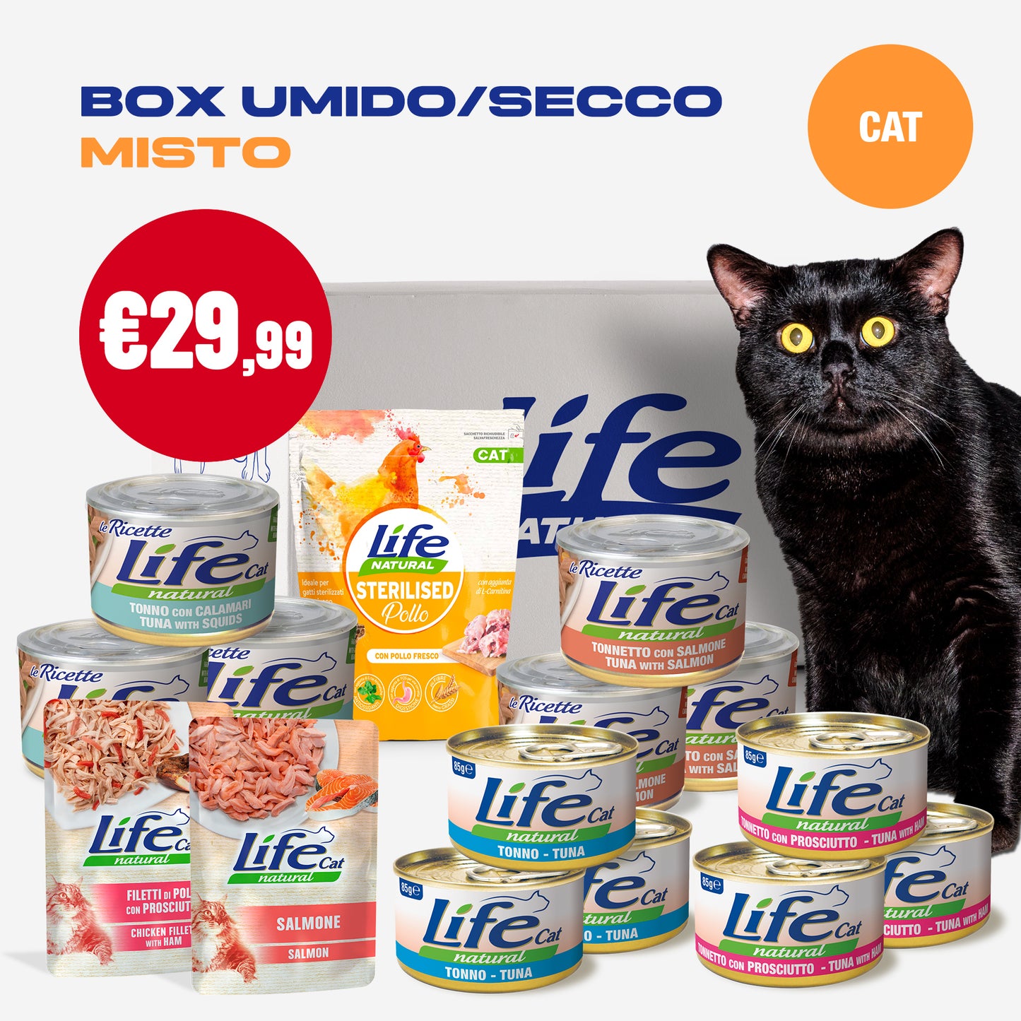 BOX MISTO UMIDO/SECCO GATTO