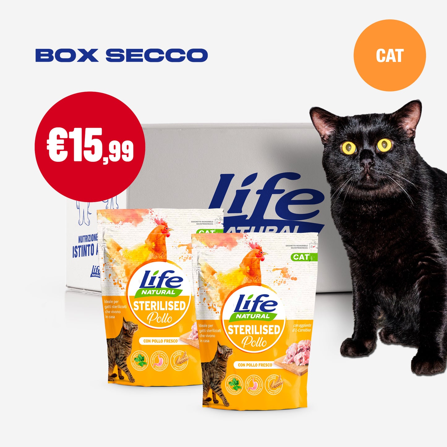 BOX SECCO GATTO - 2 CONFEZIONI DA 800 GR