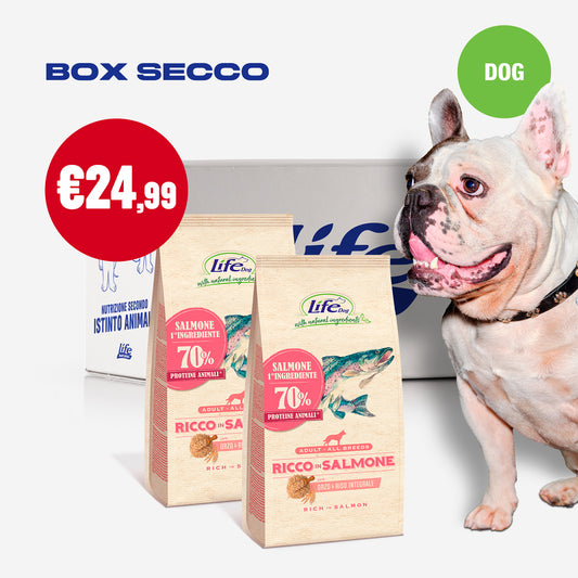 BOX SECCO CANE - 2 CONFEZIONI DA 2 KG