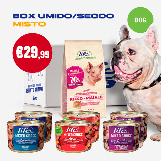 BOX MISTO UMIDO/SECCO - CANE