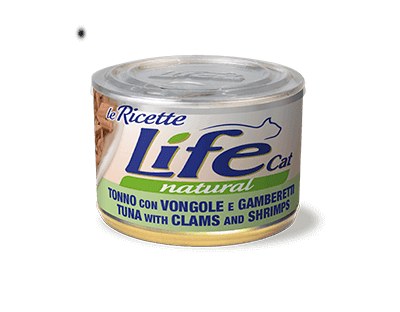 Tonnetto con vongole e gamberetti