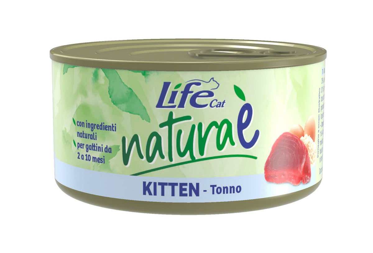 Kitten Tonno