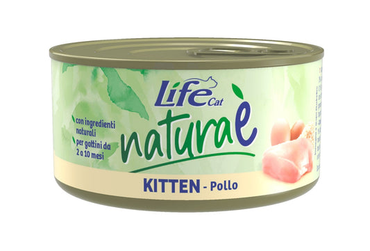 Kitten Pollo