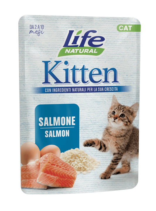 Kitten salmone