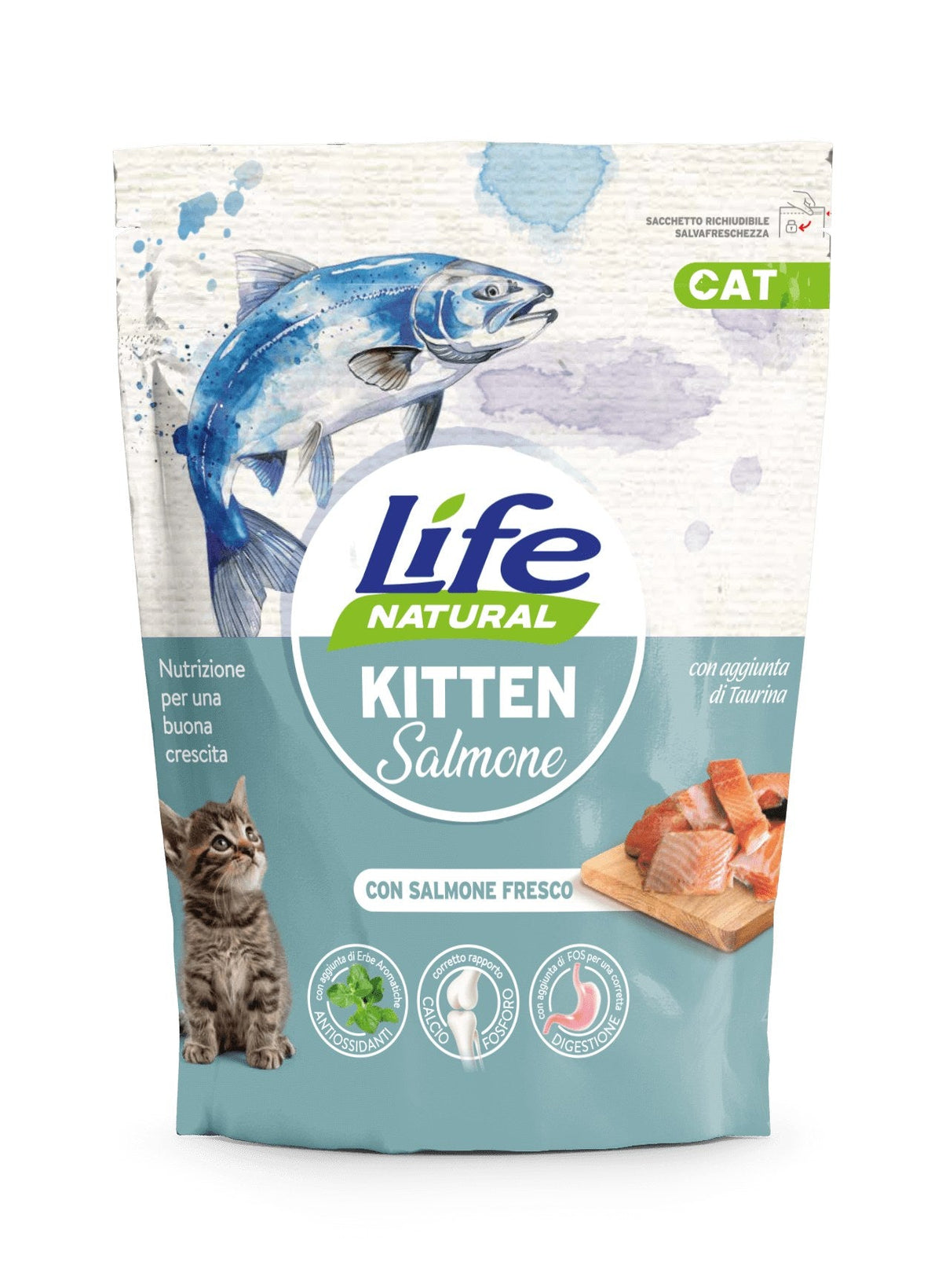 KITTEN SALMONE