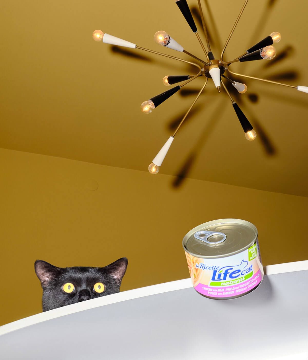 Gatto con lattina