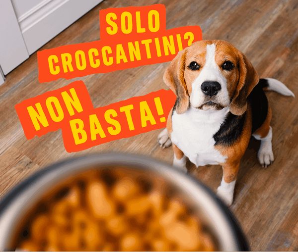 IL COMPLEMENTO PERFETTO AL SECCO