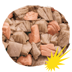 Pezzi veri di carne e pesce