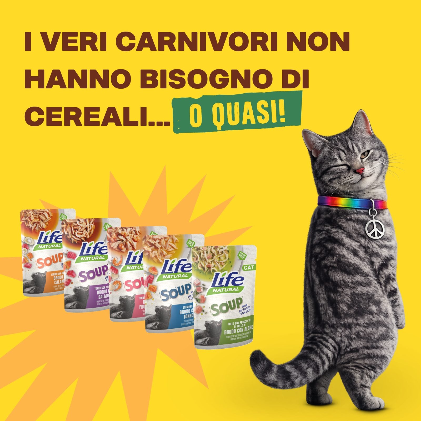 GRAIN FREE — UN GATTO È UN CARNIVORO STRETTO