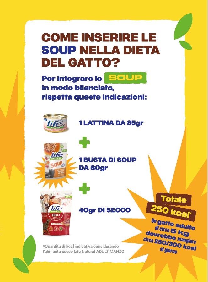 COME AGGIUNGO LE SOUP ALLA DIETA DEL MIO GATTO?