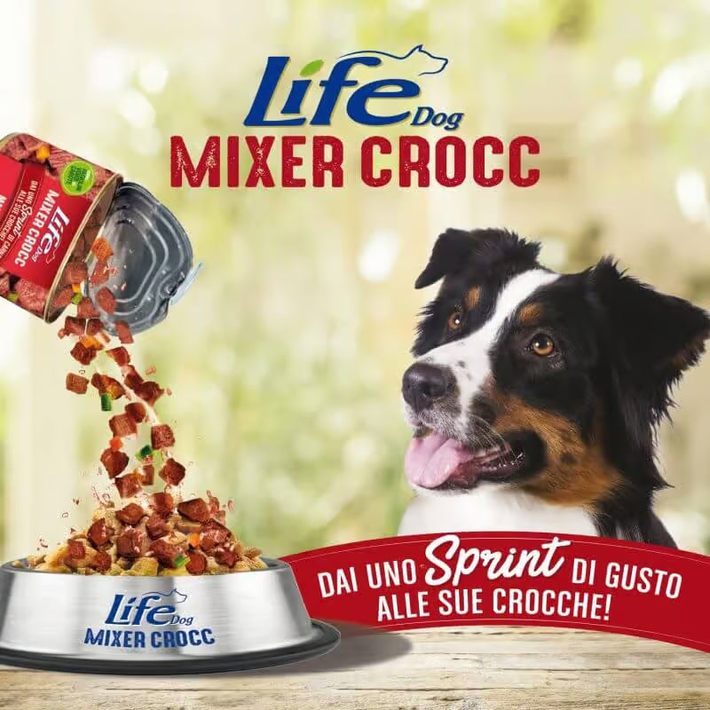 Life Dog Mixer Crocc