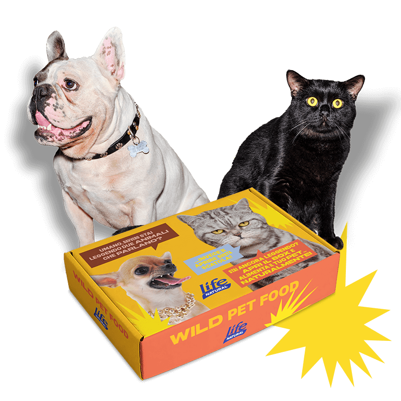 Life Natural box